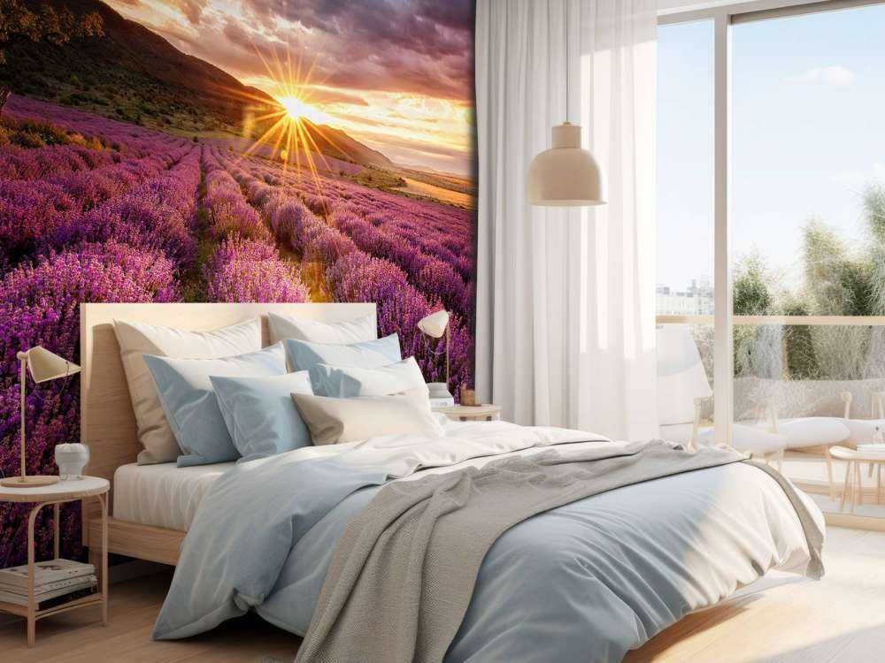 Lavender under the sun