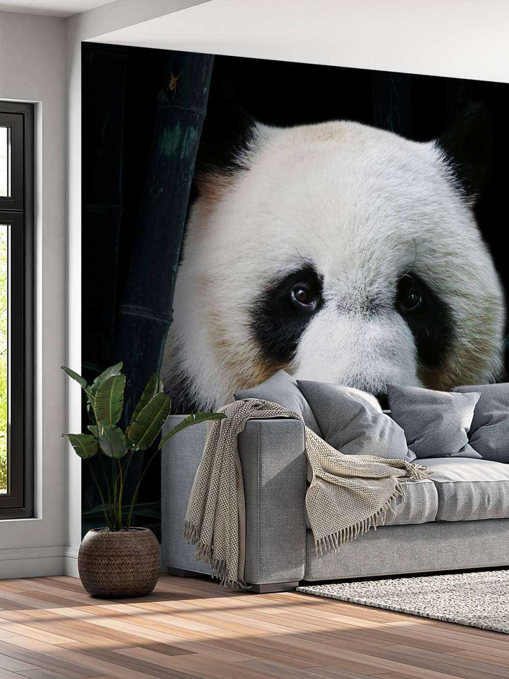 Panda Portrait