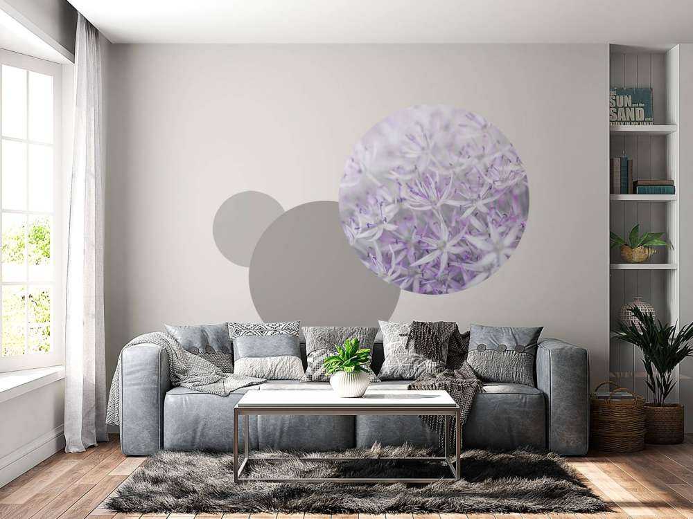 Allium flowers close-up