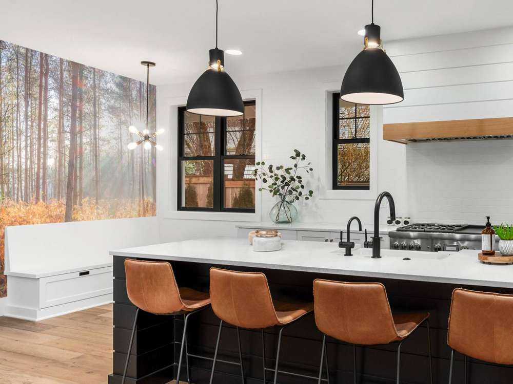 Sun rays through the forest