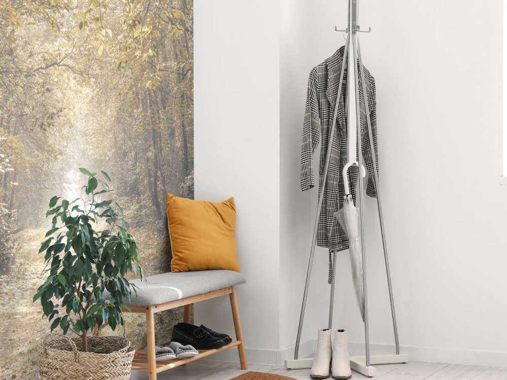 Path through a deserted forest