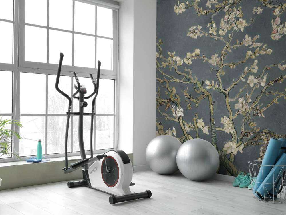 Almond Blossom in Bloom