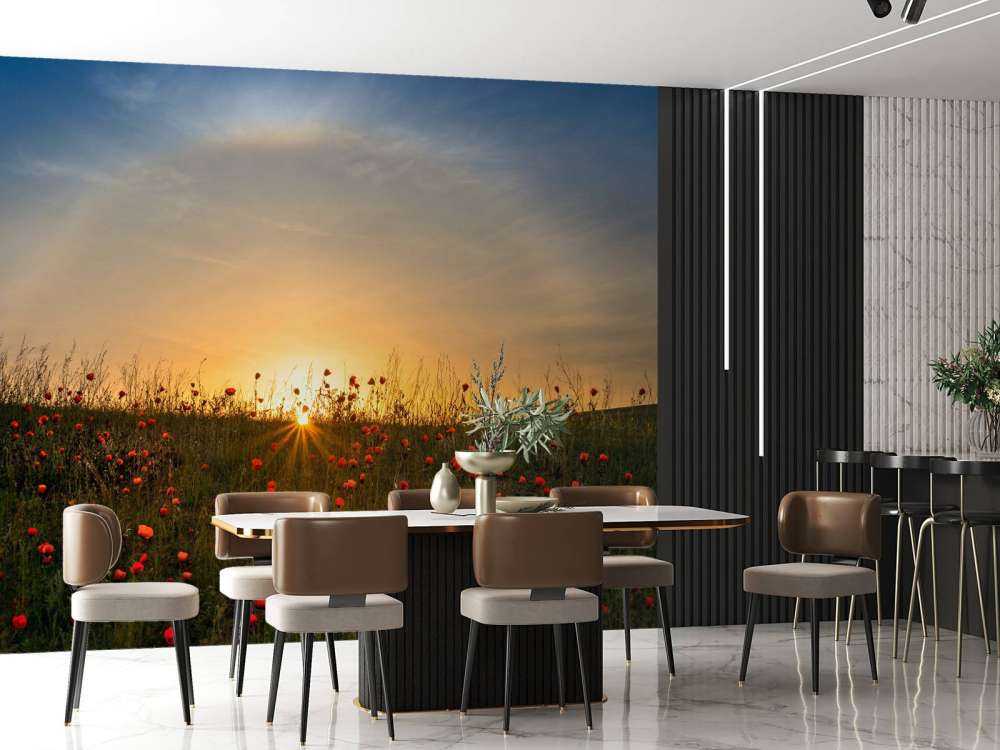 Red poppies and sunrise