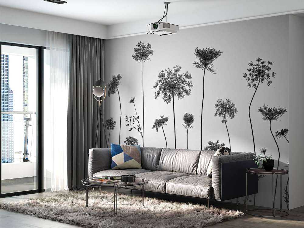 Cow parsley in black and white