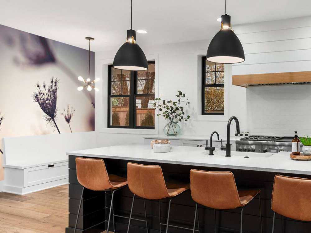 Silhouettes of plants