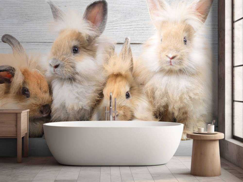 Small bunnies