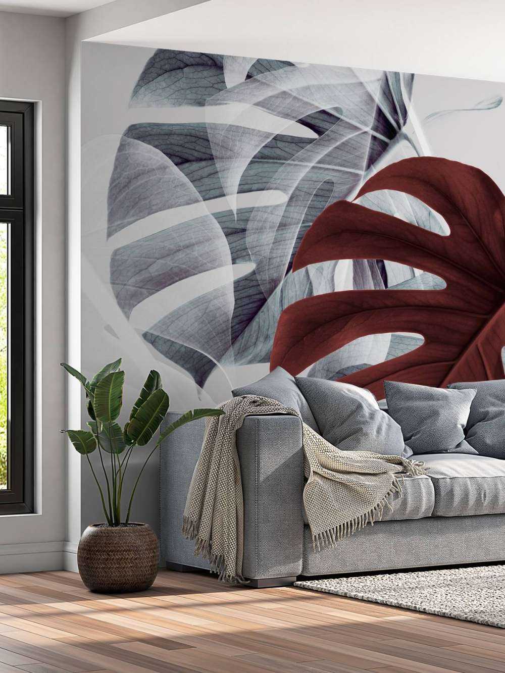 Monstera Creative 18