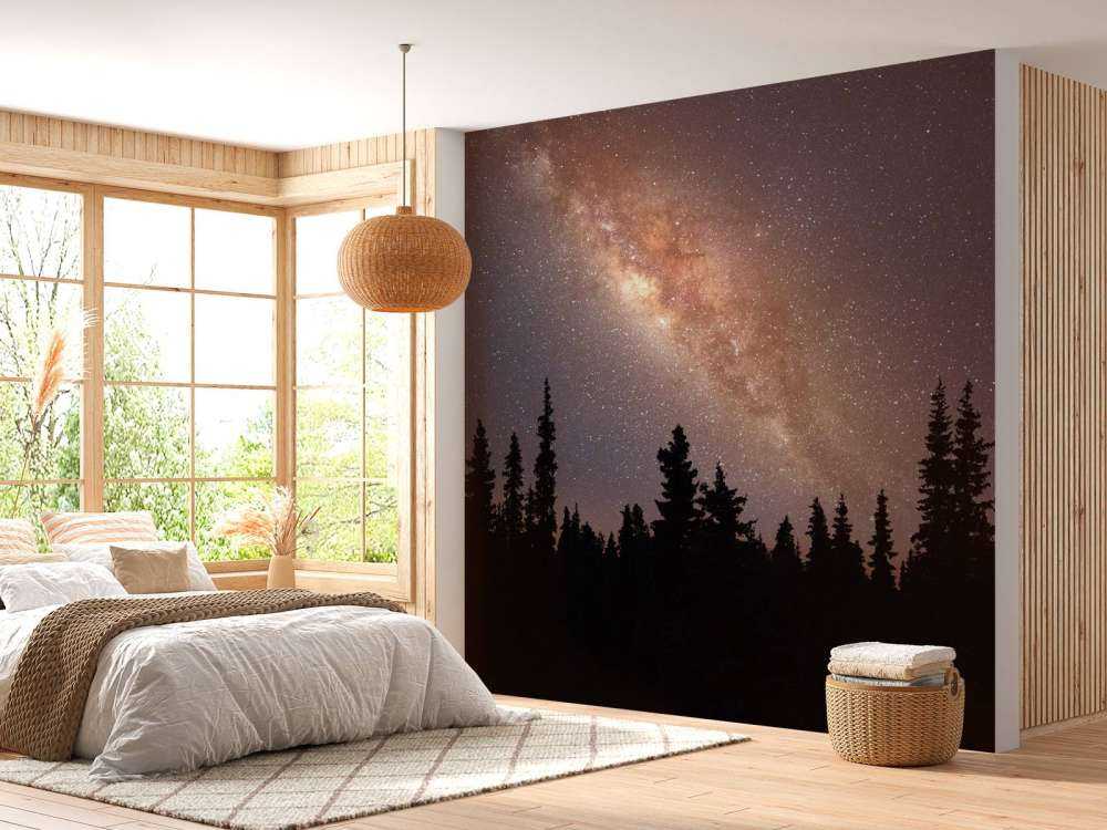 Milky way above silhouette of trees