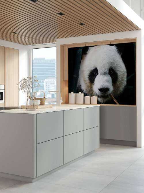 Panda Portrait