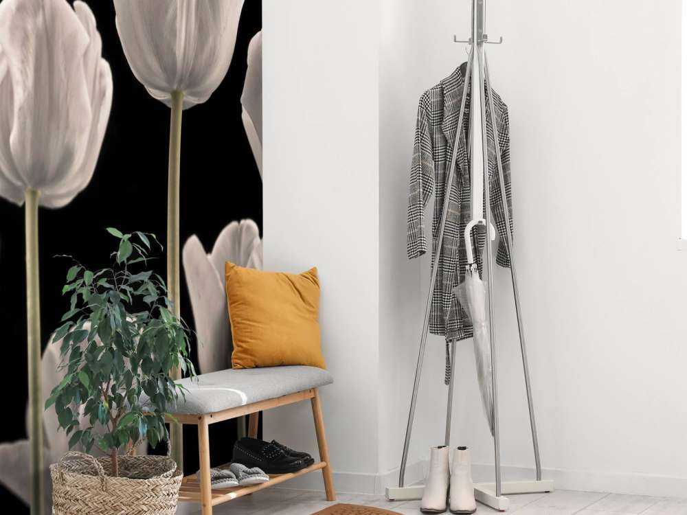 Different tulips
