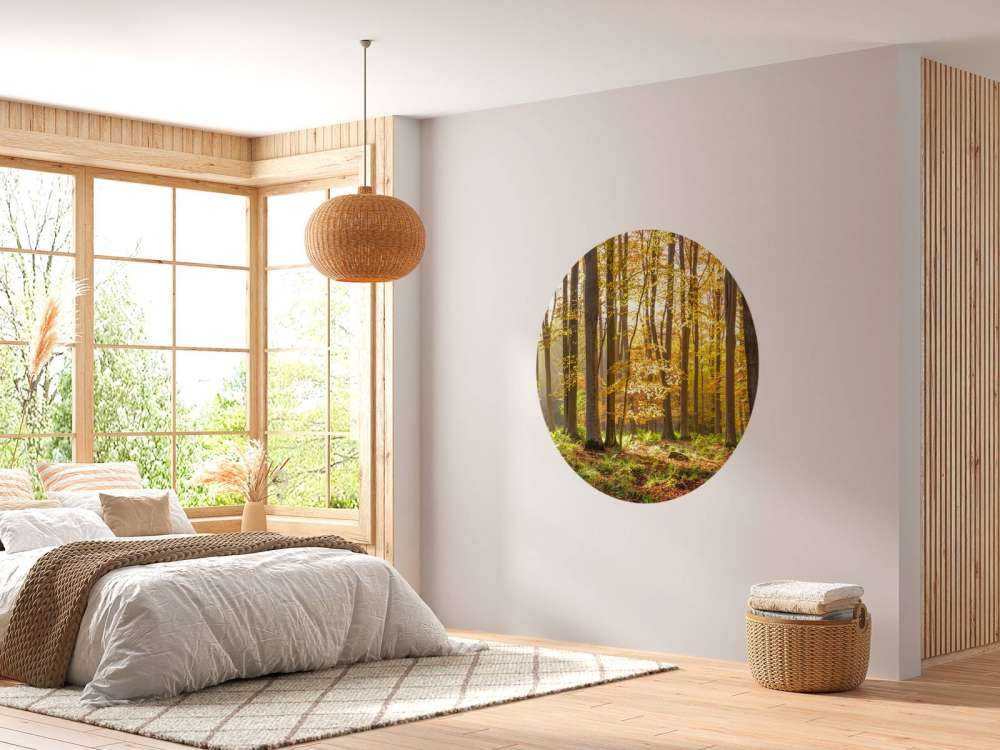 Sunny forest
