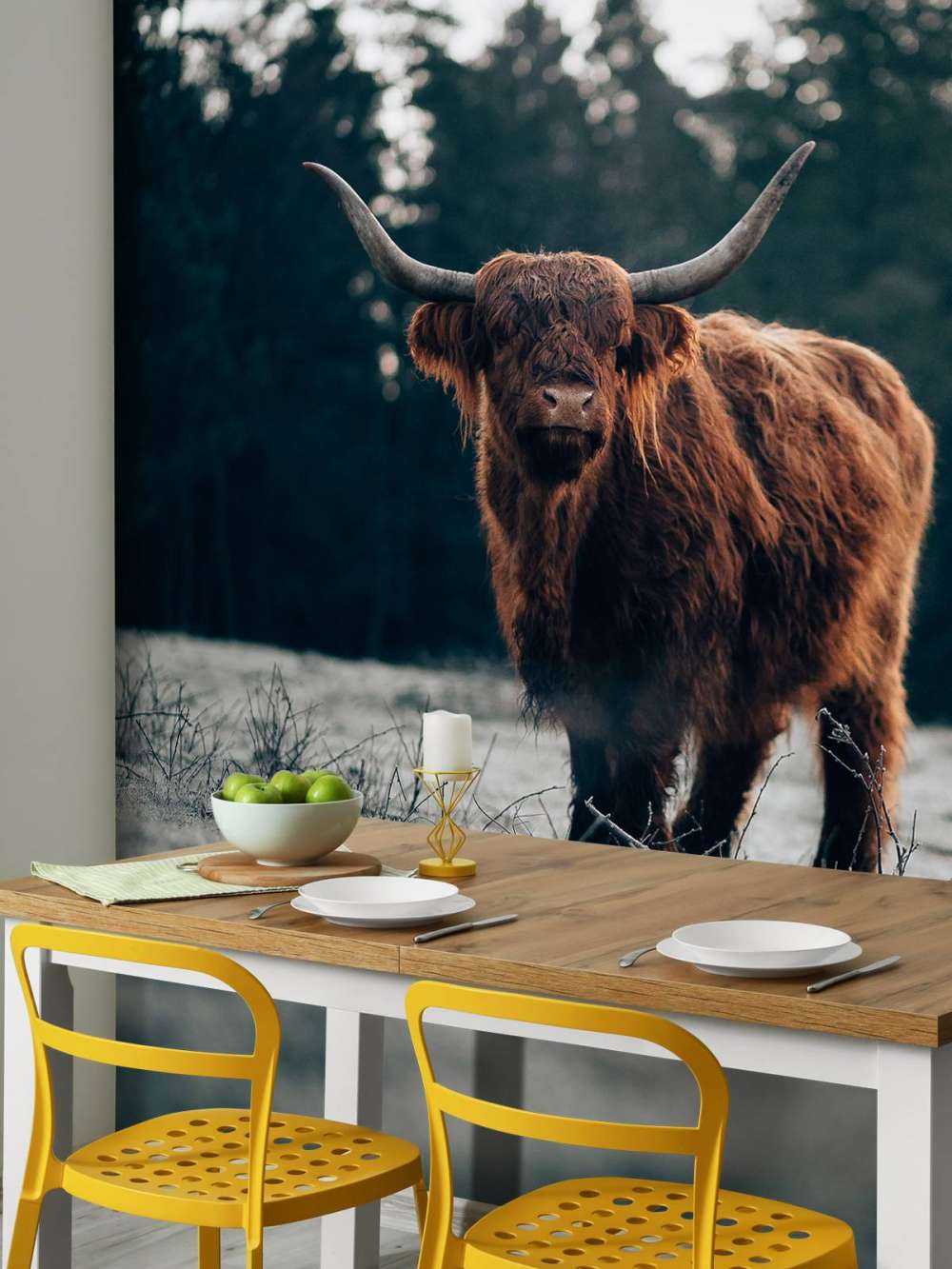 Old highlander