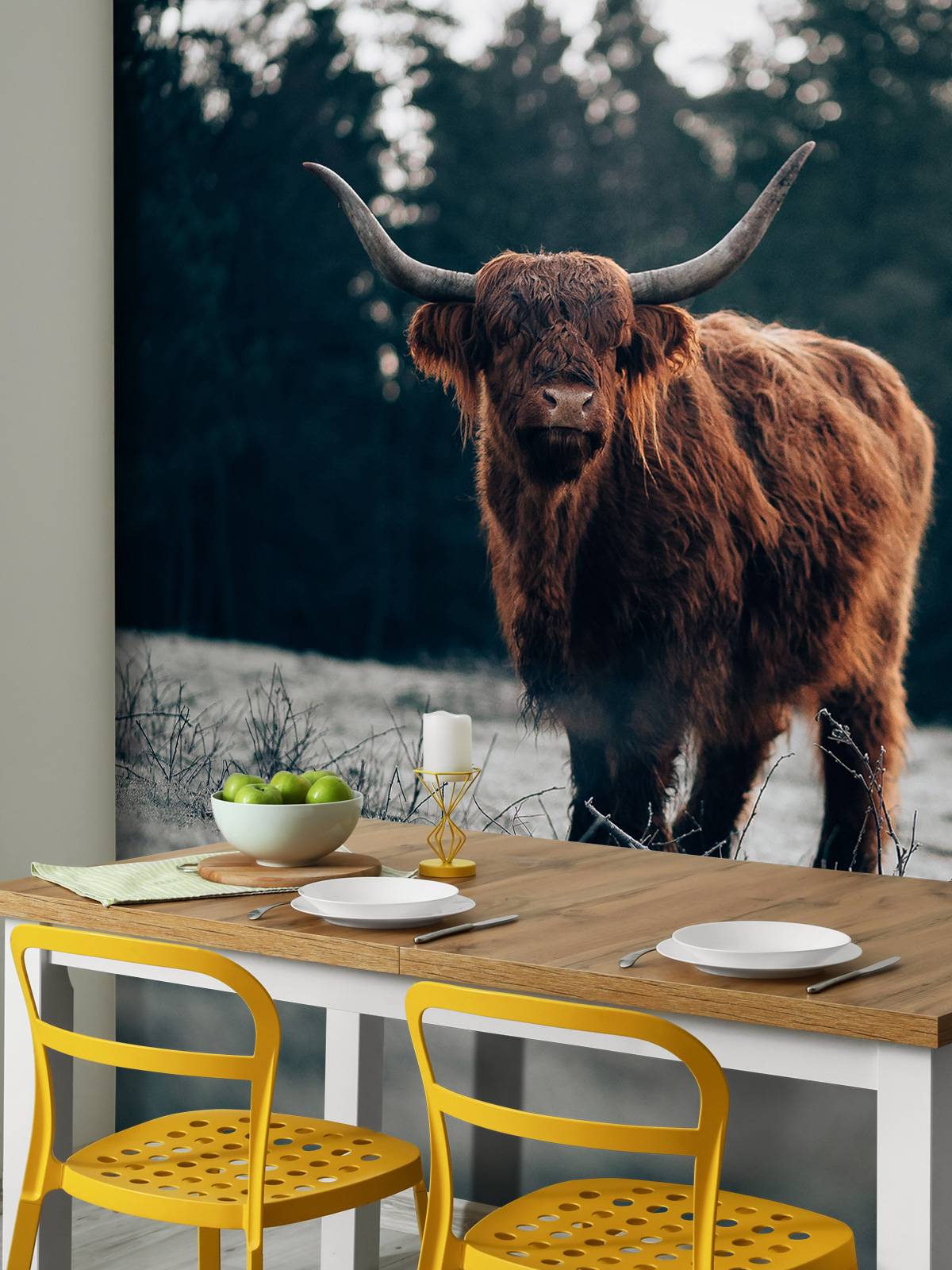 Old highlander