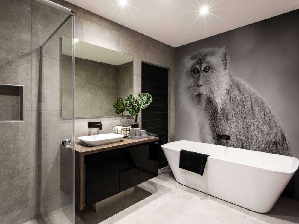 Schattig aapje in zwart-wit