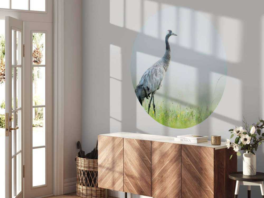 Crane in the morning mist