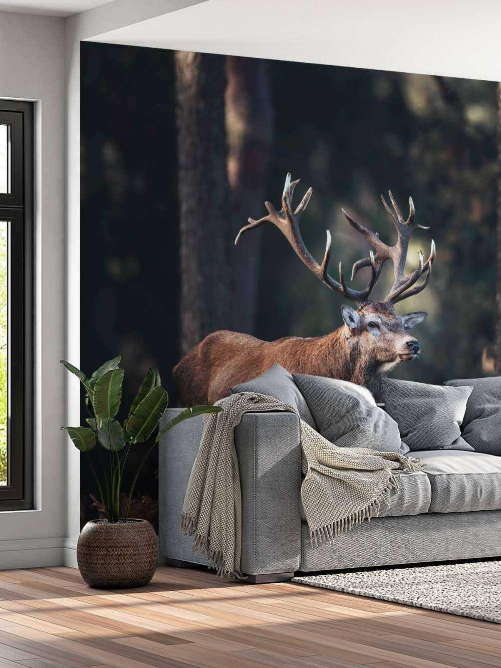 Deer on a hill