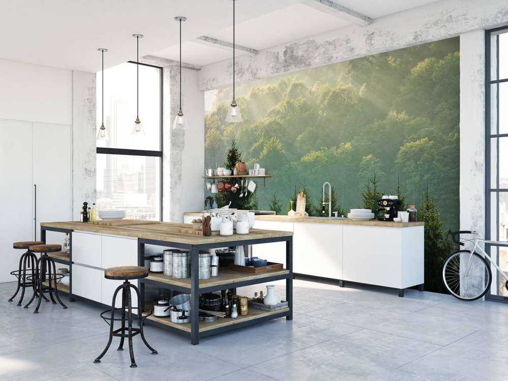 Sunbeams over the forest