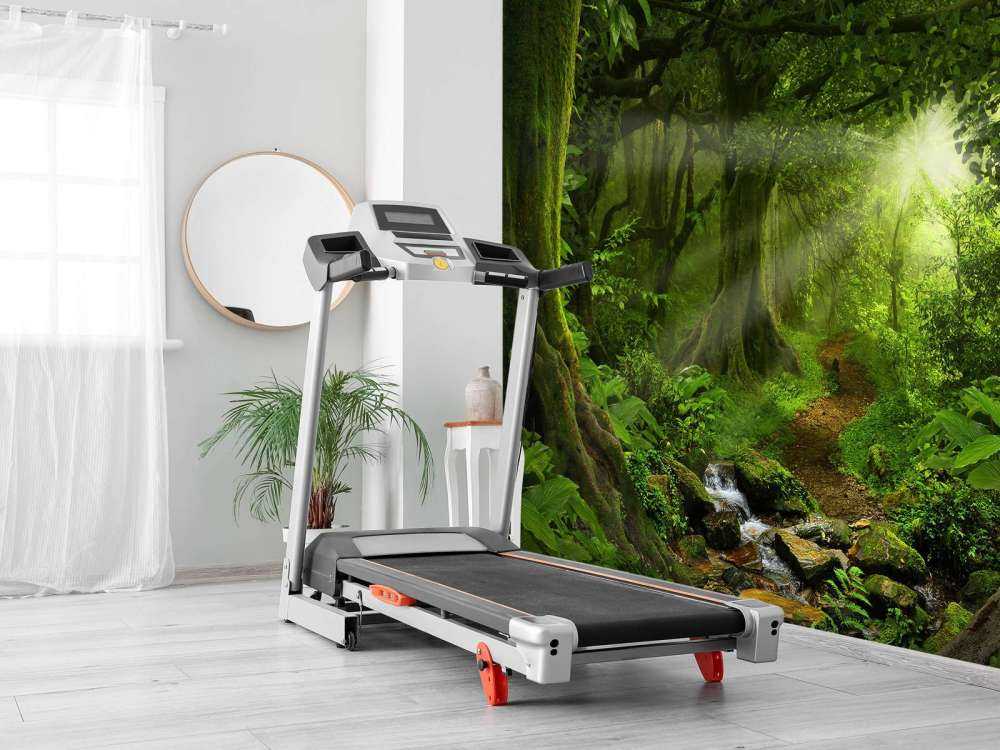 Tropical jungle with sunlight