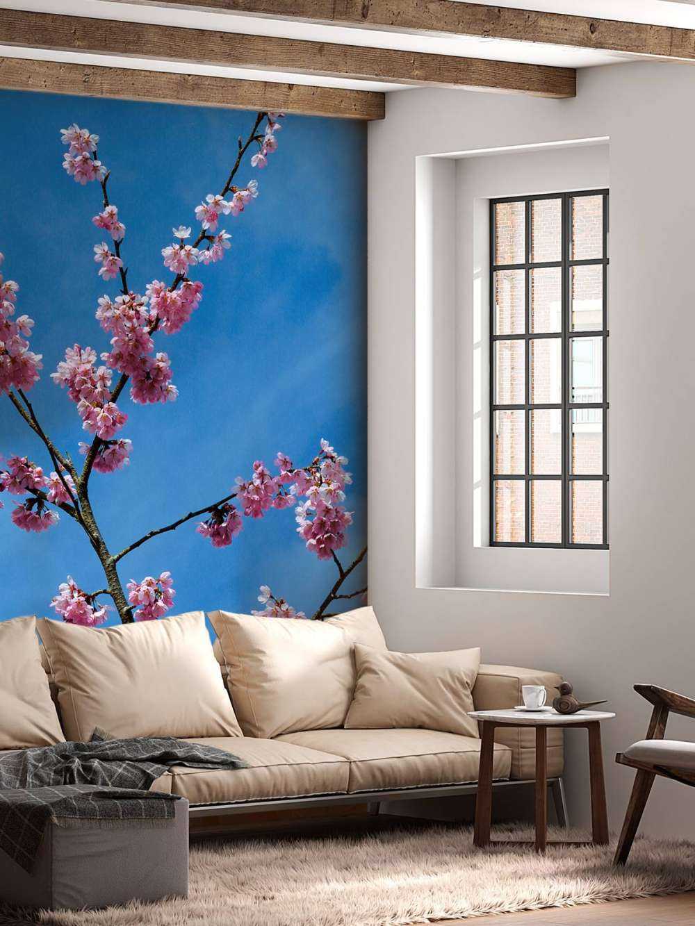 Japanse roze bloesems