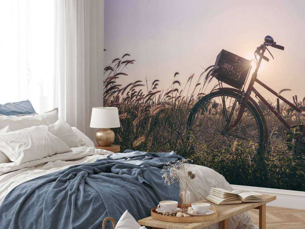Bicycle in a field