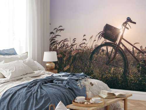 Bicycle in a field