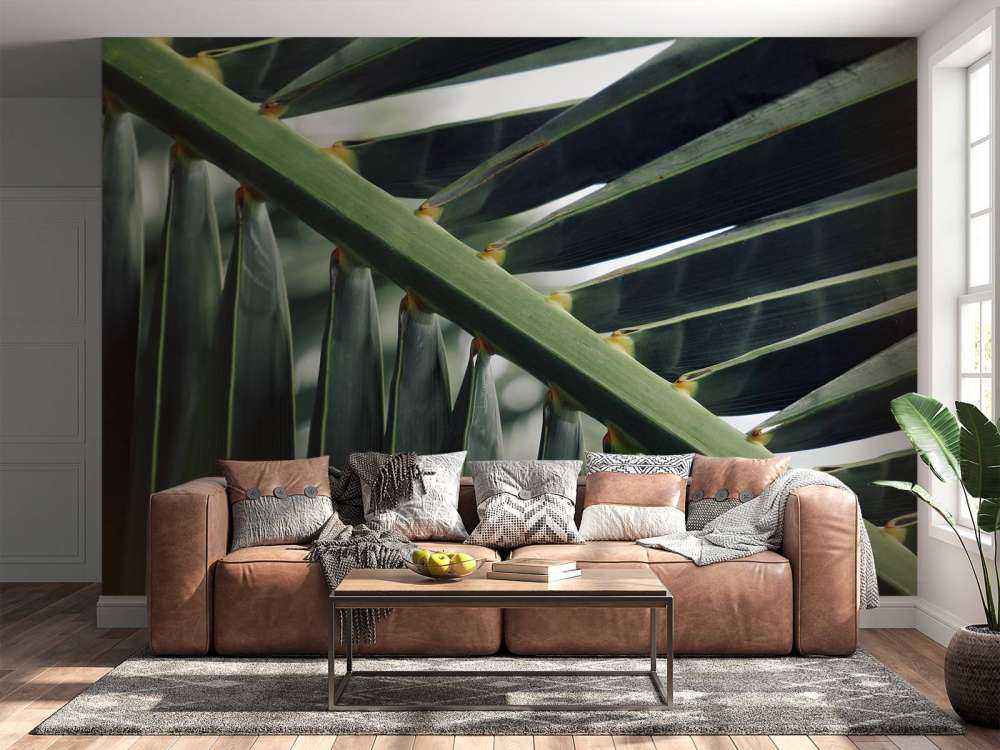 Close-up groene palmblad