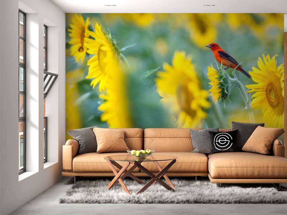 Sunflower field with red bird