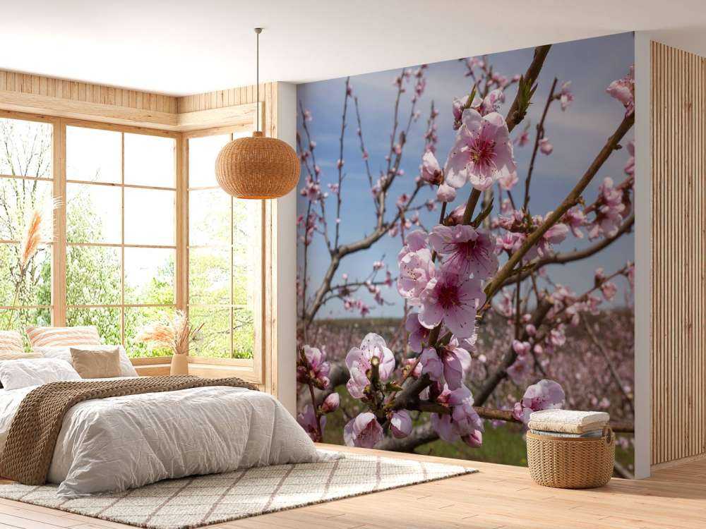 Light Pink Blossoms