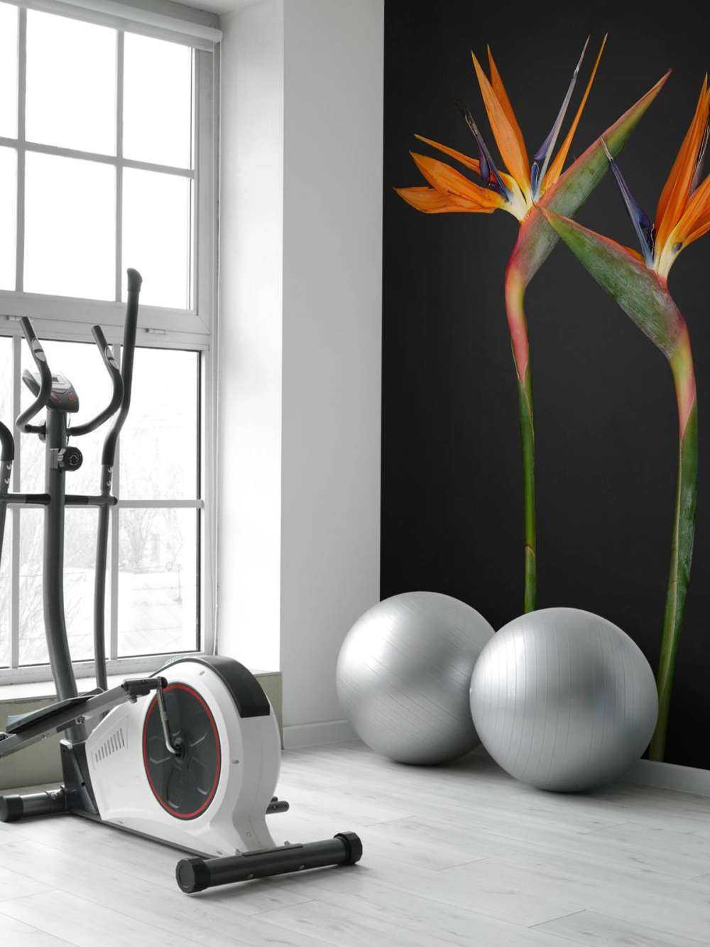 Oranje paradijsvogel bloemen