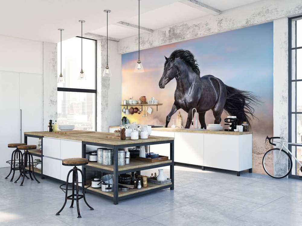 Mooi Zwart Paard in Zand