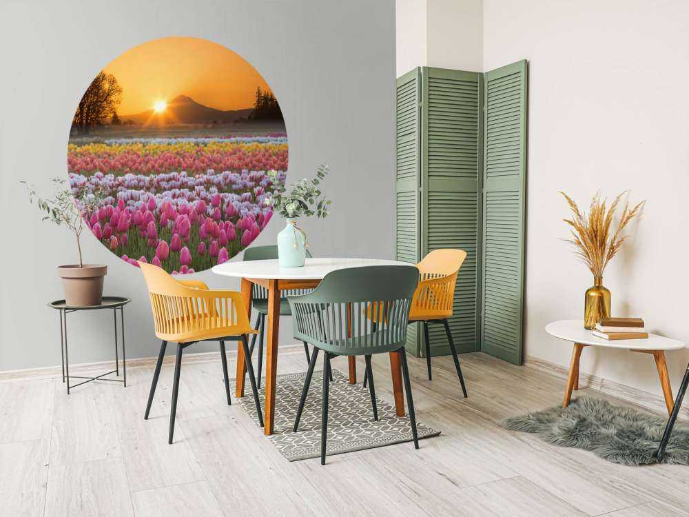 Colorful tulip field