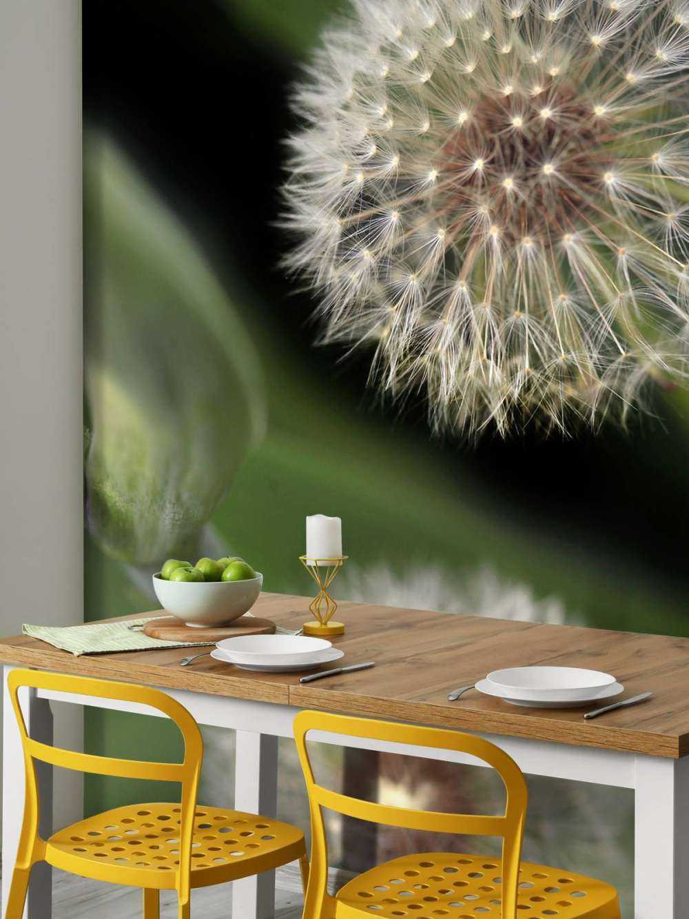 Close-up dandelions