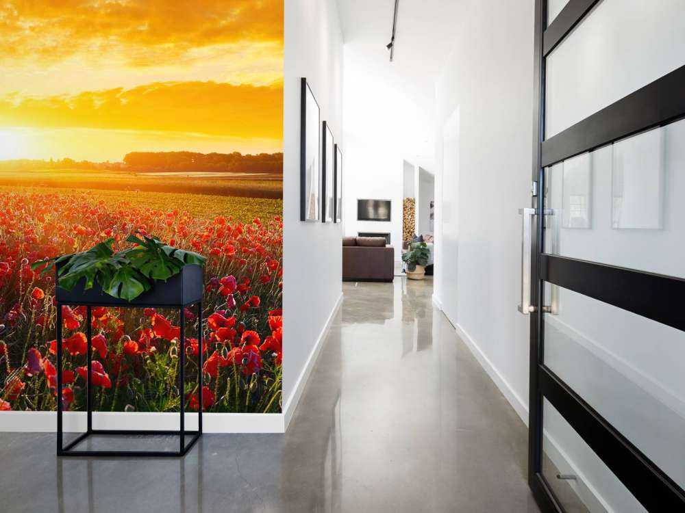 Poppies and Sunset
