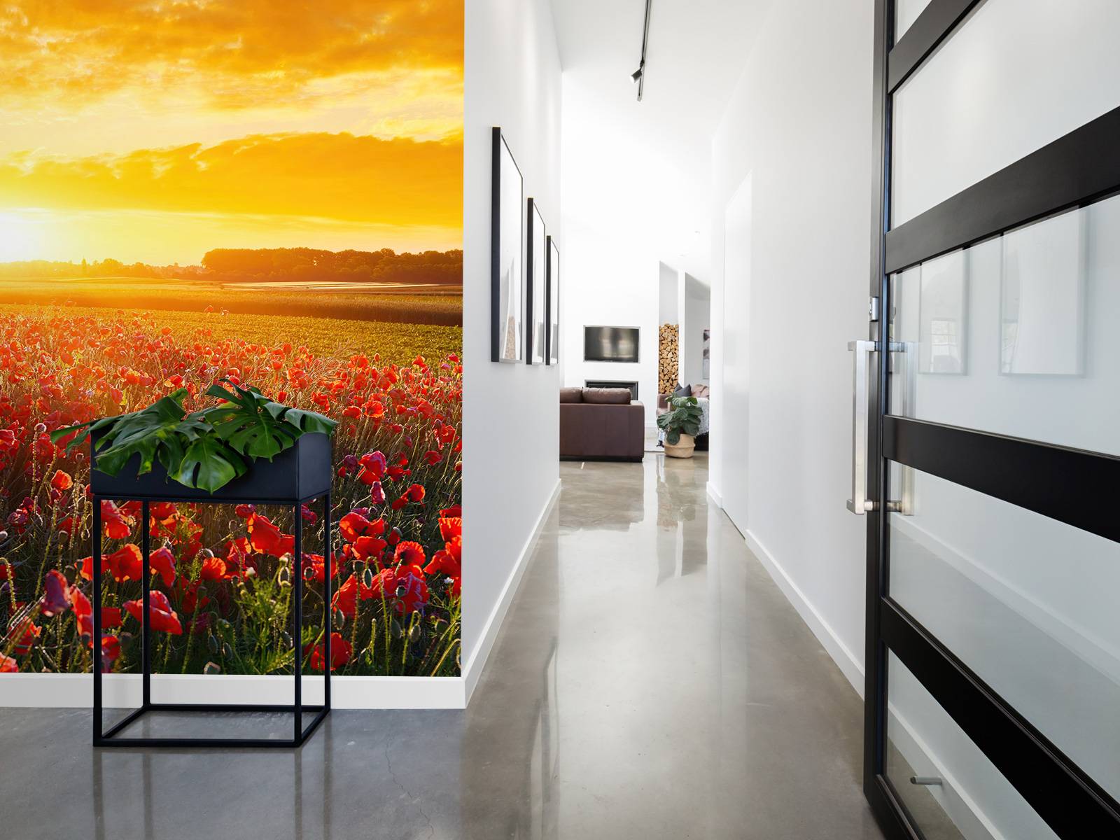 Poppies and Sunset