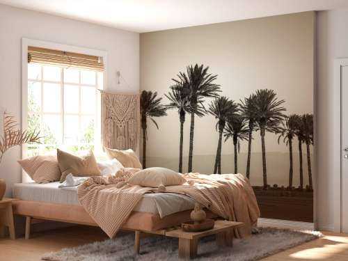 Palm trees black and white