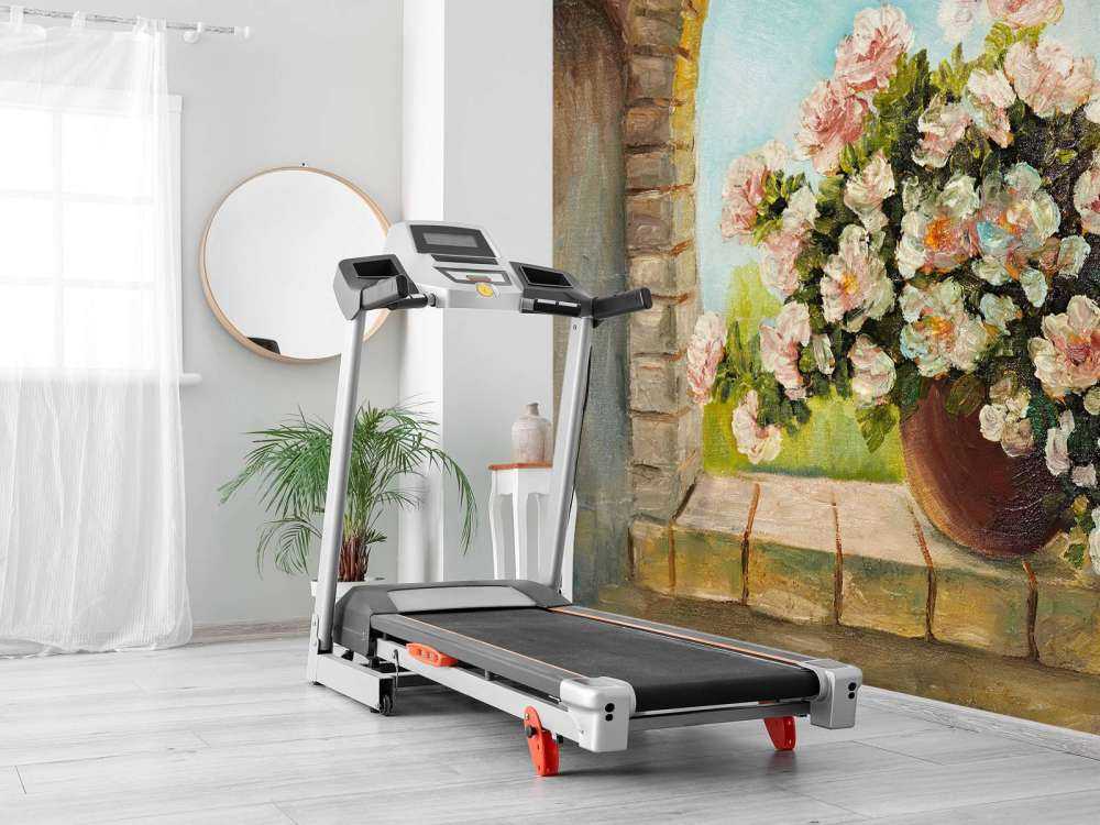 Pot bloemen op een vensterbank