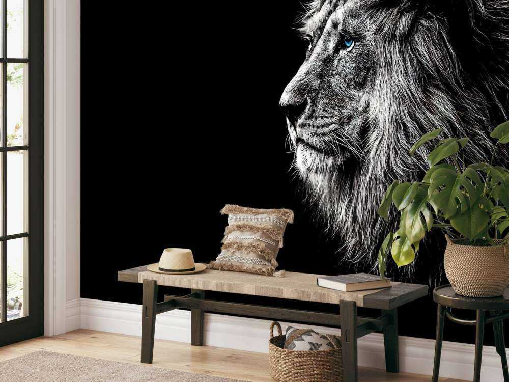Lion with blue eyes