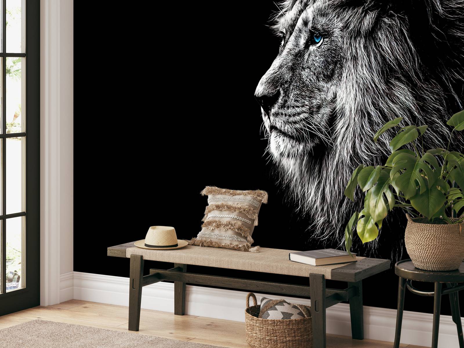 Lion with blue eyes