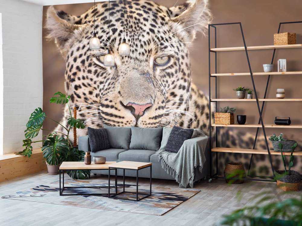 Leopard portrait