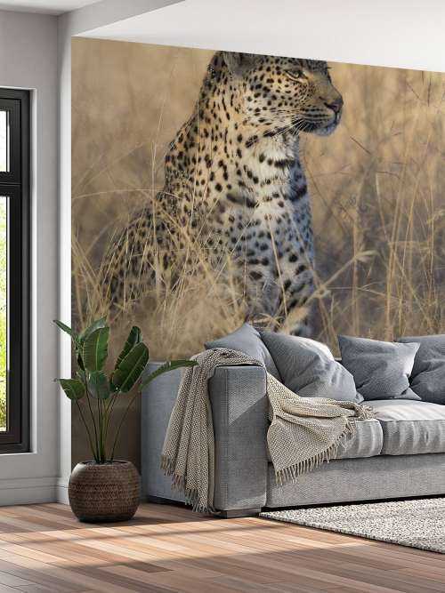 Hunting leopard