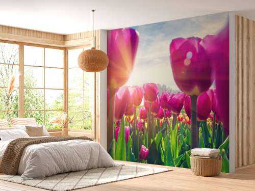 Tulipfield pink