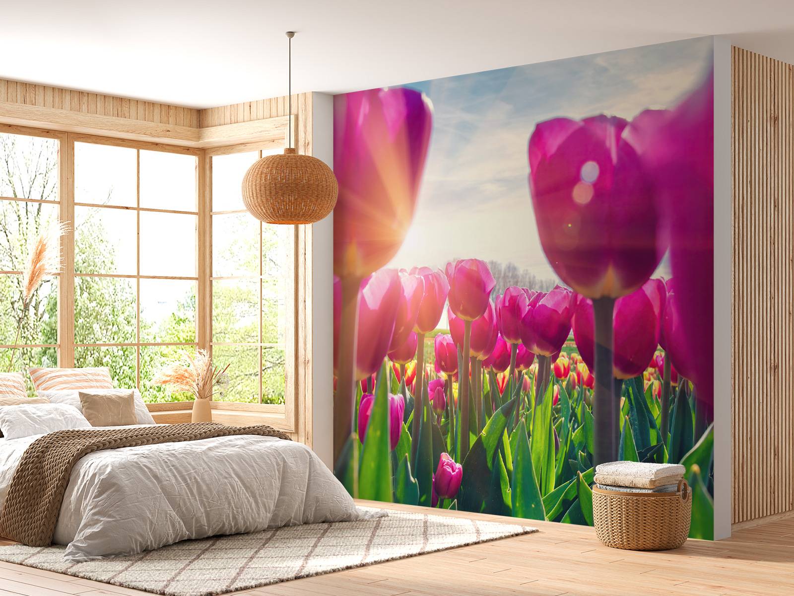 Tulipfield pink