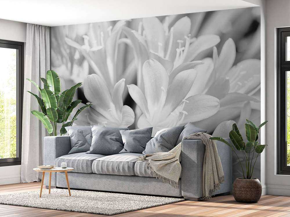 Flowers in bloom, black and white