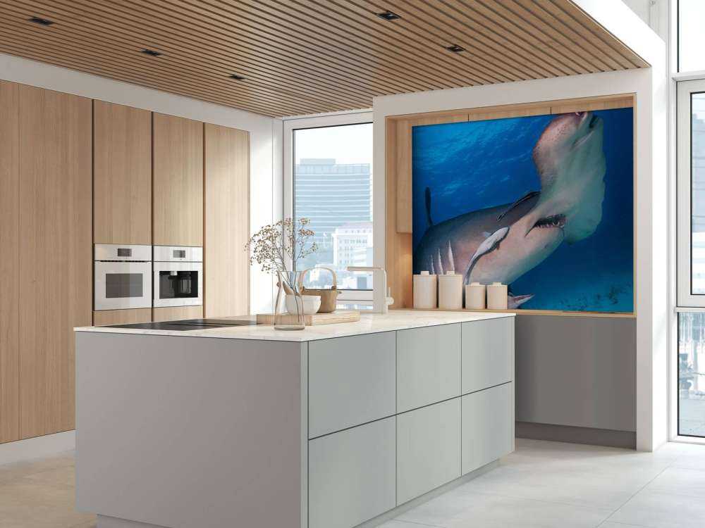 Hammerhead shark