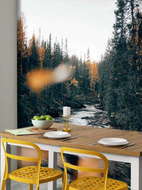Enchanted autumn forest