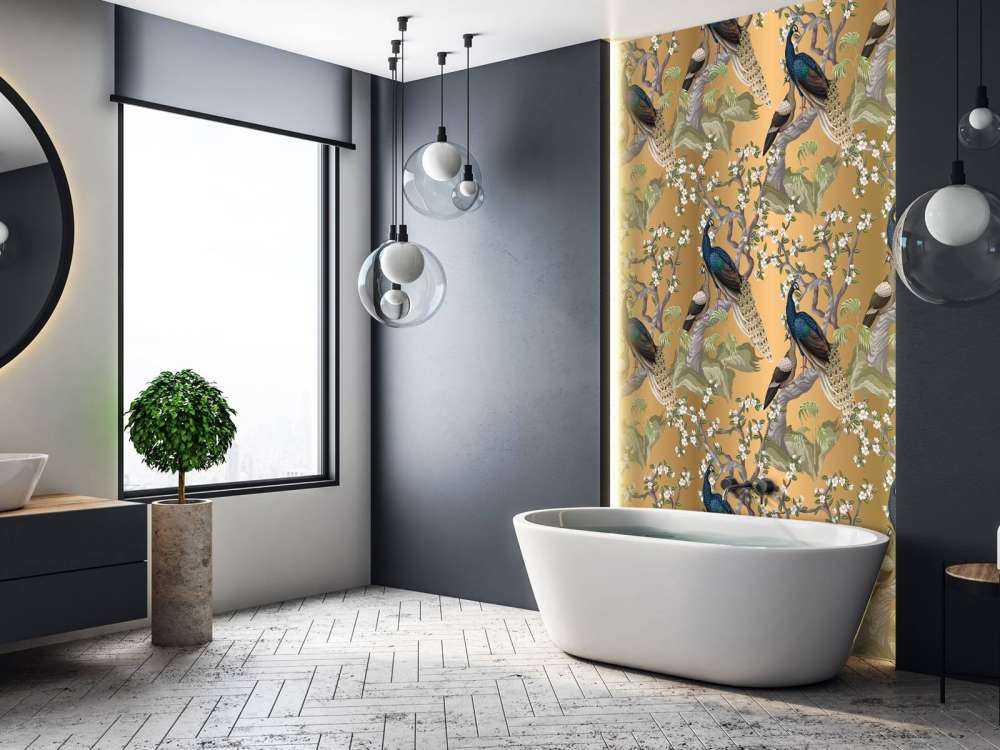 Peacock Whisper in Oasis