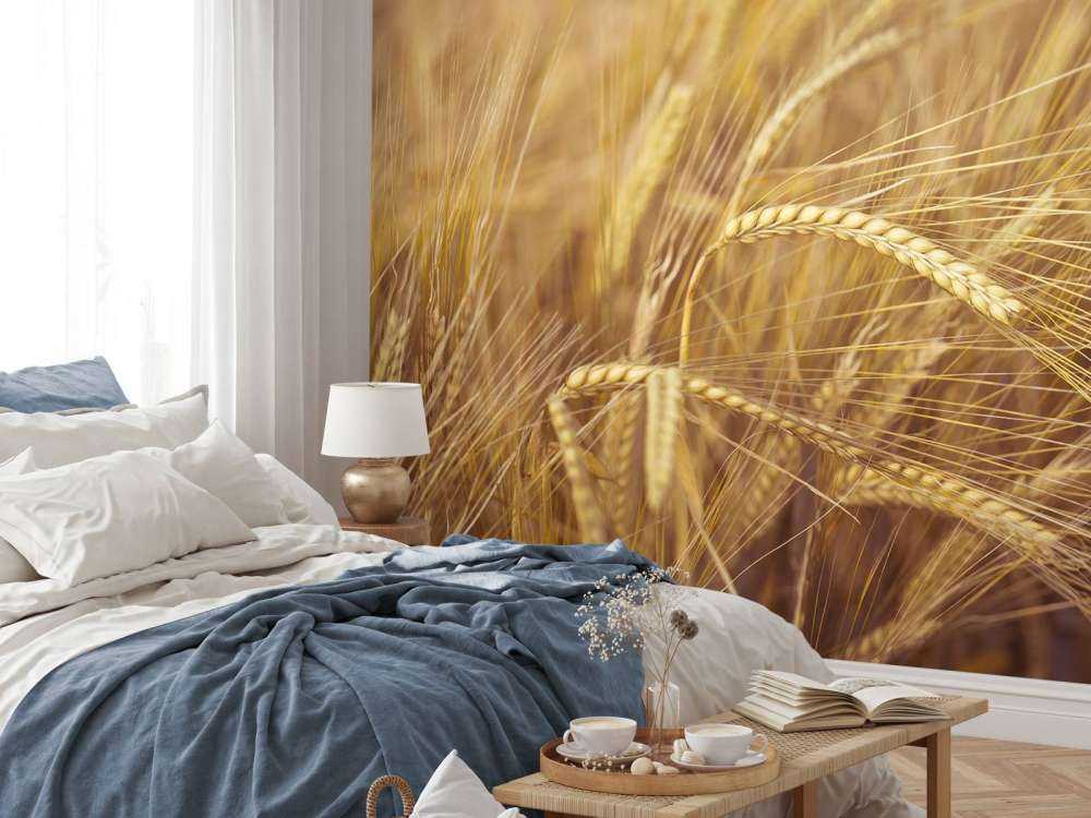 Wheat Field