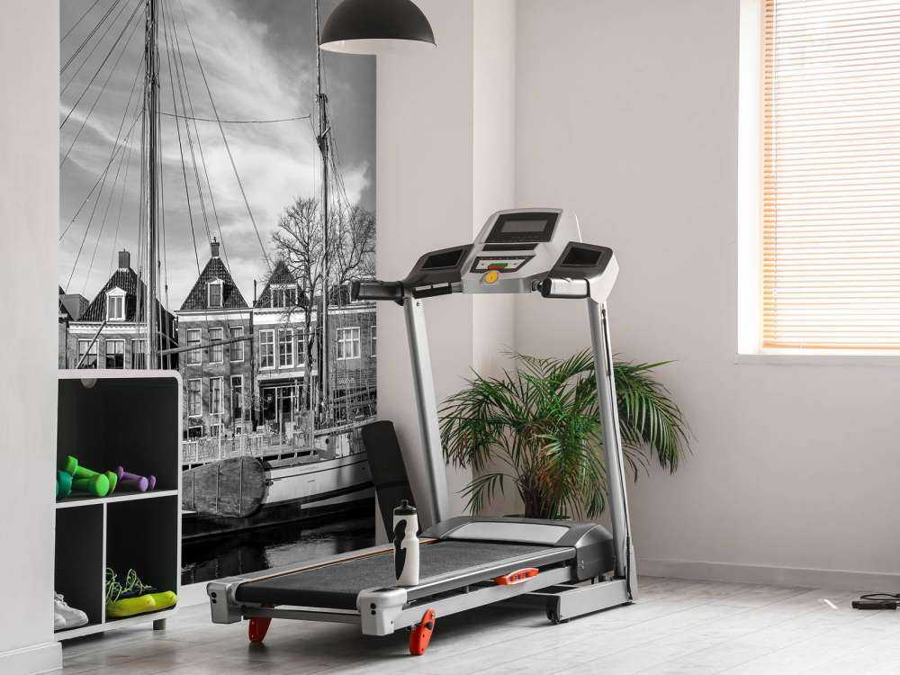 Fortified town Dokkum Friesland 