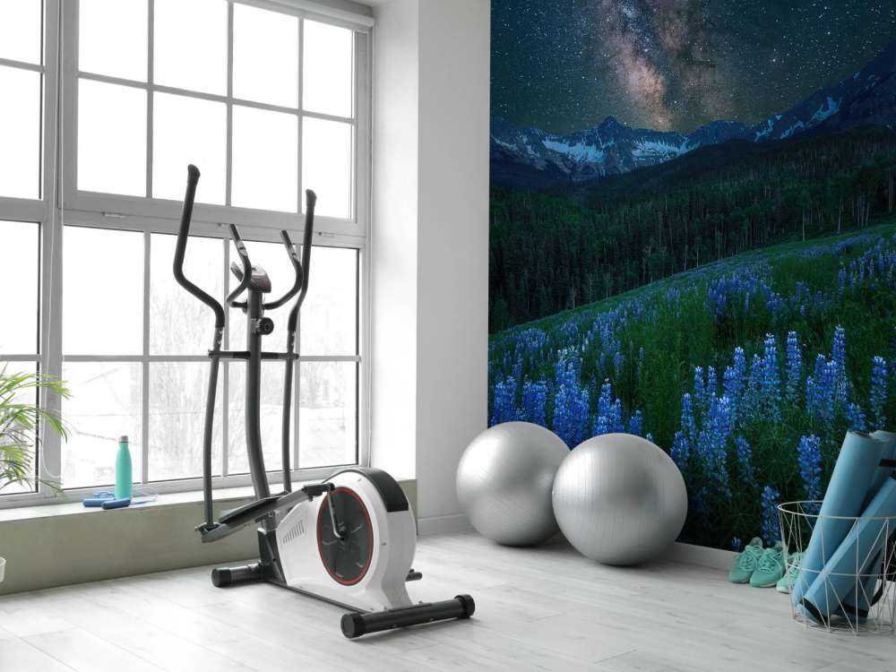 Milky Way over Lupine Slope