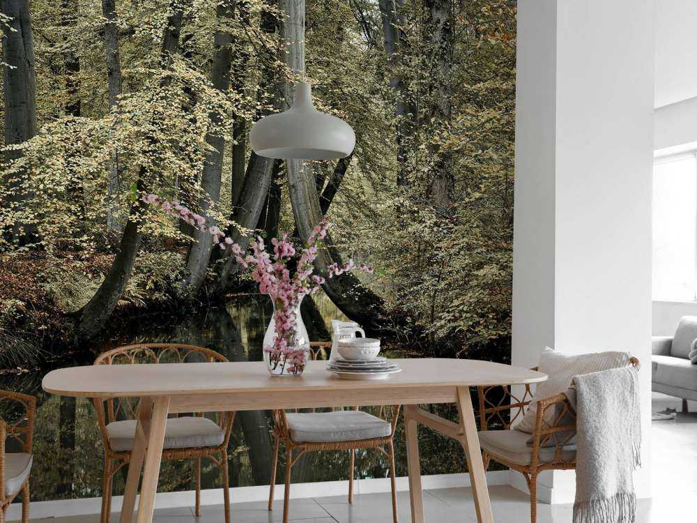 Stream with hanging trees